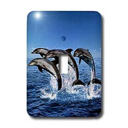 Dolphins - Dolphins - Light Switch Covers - single toggle switch