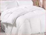 400 TC Egyptian Down Comforter Twin