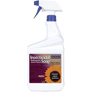 INSECT SOAP RTU 32OZ