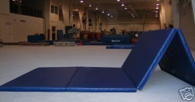 4'x8' Gymnastics Tumbling Martial Arts V4 Folding Mat