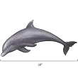 Medium Playful Dolphin I Wall Stickers Tropical Bath
