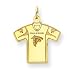 14K Atlanta Falcons Logo Small Jersey Charm