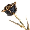 11 Inch Long Stem Dipped 24k Gold Trim Black Rose In Gold Gift Box