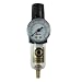 Coilhose Pneumatics MFC2-G Miniature Series Integral Filter Regulator Combo, 1/4-Inch Pipe Size with 0-160 PSI Pressure Gauge