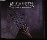 Symphony of Destruction