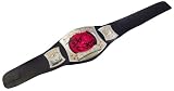 WWE Electrovision Championship Spinner BeltIMAGE