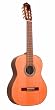 Giannini GWNC1/7 Sevilha Classical Guitar (Acoustic, Nylon, 7-String)