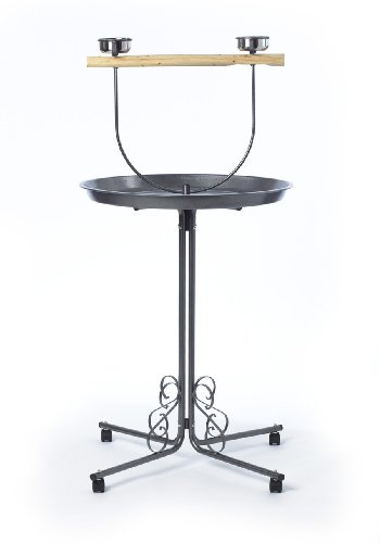 Bird T Stand