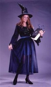 Storybook Witch Velvet Small/Medium Costume