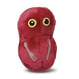 Giant Microbes - Flesh Eating (Streptococcus pyogenes) Educational Plush Toy
