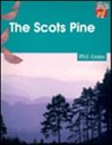The Scots pine