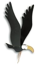 Toucan