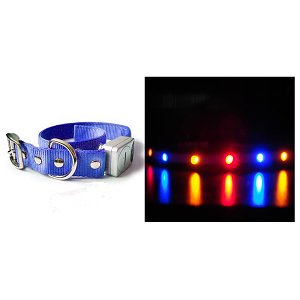 How's Your Dog LED Flashing Nighttime Safety Dog Collar - Parade Blue/X-Large (18