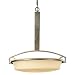 Minka Lavery Dakota Antique Nickel 5 Lt Pendant 1173-56