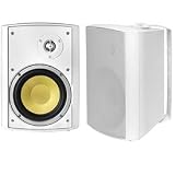 Bic America VK6IO 6.5-Inch Kevlar Series Indoor/Outdoor Speakers With Mounting Brackets