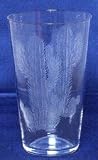 Individually Hand Etched Cactus Tumbler Glass 7"H Set / 4