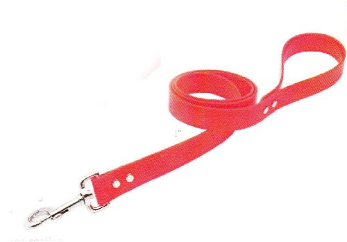 Blaze Orange Reflective Dog Leash 4 ft x 1