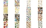 Electronics : Herma Stickers Various Cute Kittens