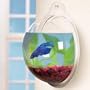 Aquatic Gardens Hanging Betta Bowl