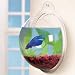 Aquatic Gardens Hanging Betta Bowl