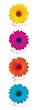 Daisies Dance Love Sing Live Inspirational Floral Poster Print 12x36