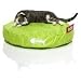 Catbag - Cushion Style Cat Bed - Green (Lime Green) (4H x 24''W x 24D)