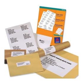 Avery White Copier Labels 1 per Sheet A4 210x297mm - DPS01/3478-100