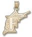 Florida Marlins 14K Gold Pendant