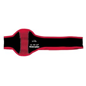 Fully Adjustable Flo Pink TGC Fitness Belt for the Nintendo Wii Zumba� Game