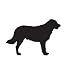 Sport Dog Pet Flat Coated Retriever Car Truck Vehicle Bumper Helmet Decal Sticker Wall Art Laptop Design Skin Stickers