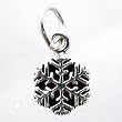 Detailed Little Sterling Silver Snowflake Charm, #11448