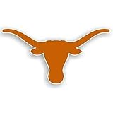 Texas Longhorns NCAA 12" Car Magnet