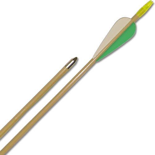Compare Prices Cajun Archery Fiberglass Target Arrows pack of 144
