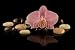 Wallmonkeys Peel and Stick Wall Decals - Orchid with Crystal - Removable Graphic