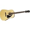 Epiphone AJ-1 Acoustic Guitar (Natural)