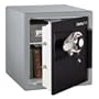 Combination Fire Safe