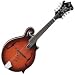 Musical Instruments : Legacy Plus Mandolin