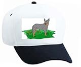 White Cap with cattle, australian, dog, canine