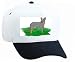White Cap with cattle, australian, dog, canine