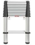 Review Telesteps 60233 / Telesteps Wide Telescopic Ladders - 3.3 m