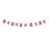 Imported Felt Pennon Pennant Flags Bunting Garland Banner Birthday Party Decor Pink RS.110.00 (72.00% Off) - Amazon