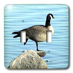 Cassie Peters Photography - Canada Goose Photographed by Angelandspot - Light Switch Covers - double toggle switch