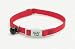 C Cat Adj.breakaway Safety Collar-black