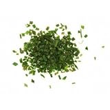 Red Hot Chilli People Chives - 25g