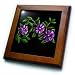 Pretty purple flowers with yellow center They are sometimes known as a Potato Bush flower - 8x8 Framed Tile