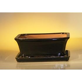 Bonsai Boy's Ceramic Bonsai Pot With Attached Humidity/Drip tray- Rectangle8.5" x 6.5" x 3.5"