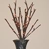 The Light Garden WLWB60 Electric/Corded Willow Branch with 60 Incandescent Lights, 20 Inch