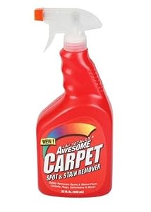 carpet stain remover amazon