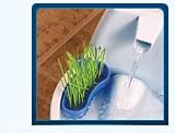 Drinkwell AquaGarden