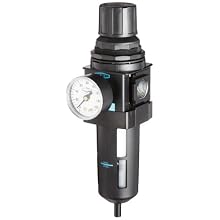 Dixon B28-06AG Automatic Drain Wilkerson Standard Filter/Regulator with Transparent Bowl and Guard, 3/4" Size, 175 SCFM Flow, 150 psig Pressure
